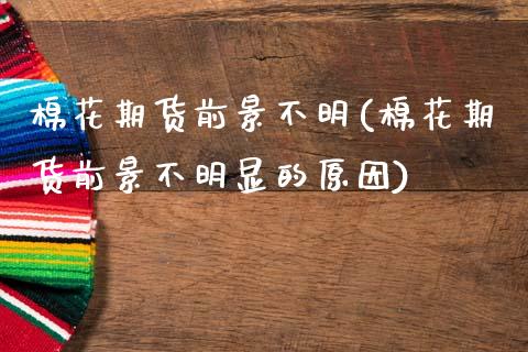 棉花期货前景不明(棉花期货前景不明显的原因)