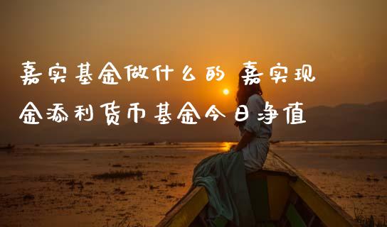 嘉实基金做什么的 嘉实现金添利货币基金今日净值_https://www.dglong8.com_基金理财_第1张