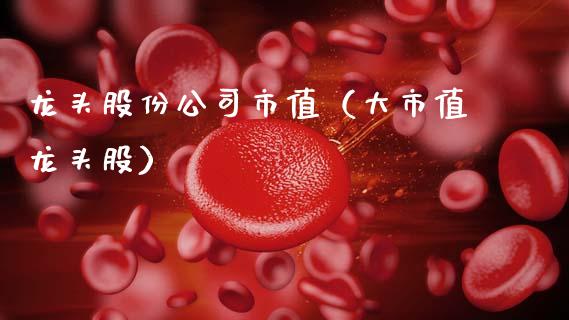 龙头股份公司市值（大市值龙头股）