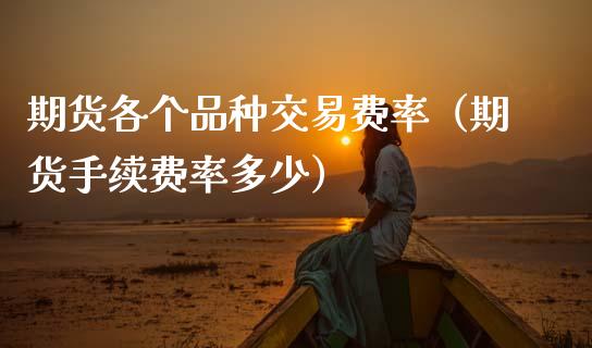 期货各个品种交易费率（期货手续费率多少）
