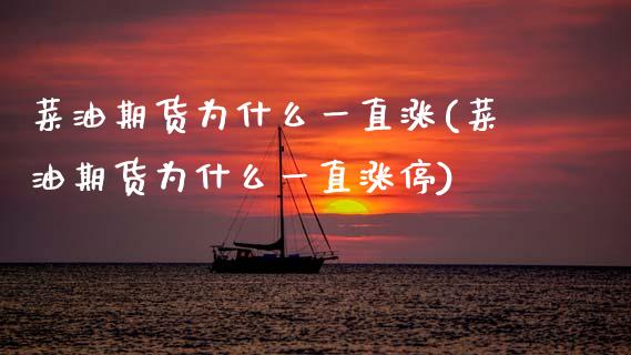 菜油期货为什么一直涨(菜油期货为什么一直涨停)