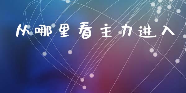 从哪里看主力进入