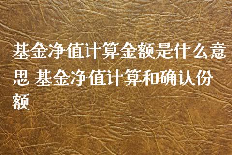 基金净值计算金额是什么意思 基金净值计算和确认份额