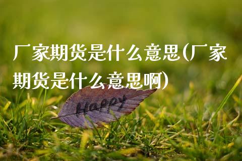 厂家期货是什么意思(厂家期货是什么意思啊)