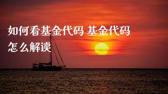 如何看基金代码 基金代码怎么解读