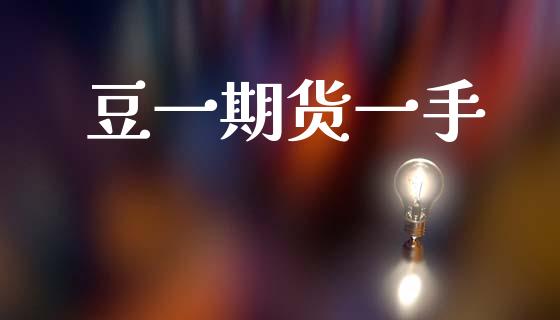豆一期货一手