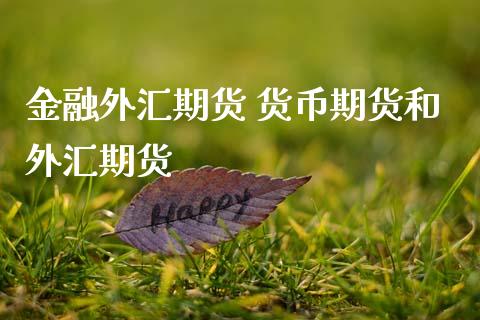 金融外汇期货 货币期货和外汇期货