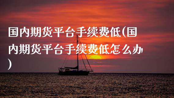 国内期货平台手续费低(国内期货平台手续费低怎么办)_https://www.dglong8.com_保险理财_第1张