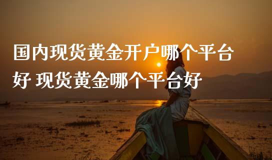 国内现货黄金开户哪个平台好 现货黄金哪个平台好