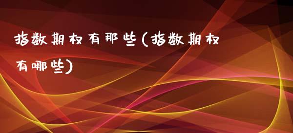 指数期权有那些(指数期权有哪些)