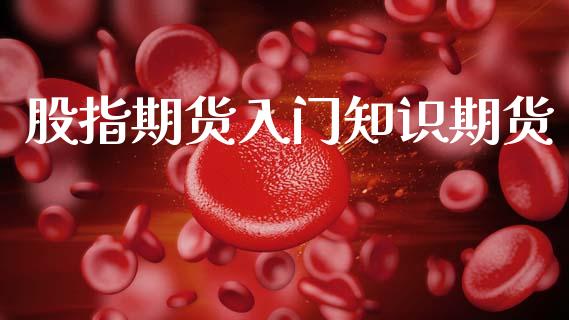股指期货入门知识期货