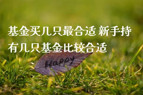 基金买几只最合适 新手持有几只基金比较合适_基金理财_第1张_宇龙理财网 基金买几只最合适 新手持有几只基金比较合适_https://www.dglong8.com_基金理财_第1张
