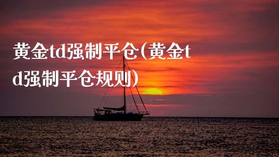 黄金td强制平仓(黄金td强制平仓规则)