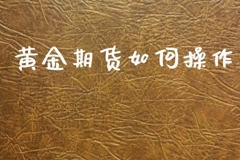黄金期货如何操作_期货理财_第1张_宇龙理财网 黄金期货如何操作_https://www.dglong8.com_期货理财_第1张