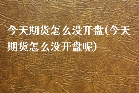 今天期货怎么没开盘(今天期货怎么没开盘呢)
