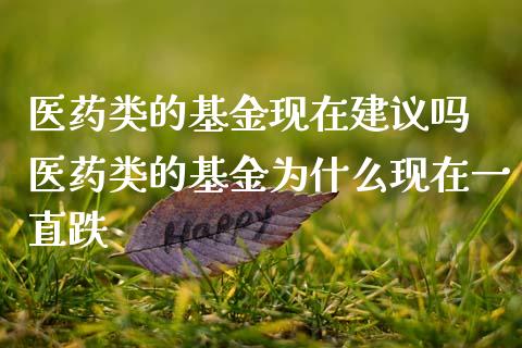 医药类的基金现在建议吗 医药类的基金为什么现在一直跌