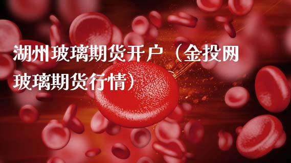 湖州玻璃期货开户（网玻璃期货行情）
