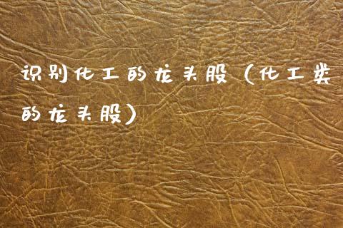 识别化工的龙头股(化工类的龙头股)_财经要闻_第1张_宇龙理财网 识别化工的龙头股(化工类的龙头股)_https://www.dglong8.com_财经要闻_第1张