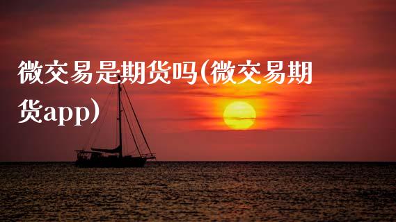 微交易是期货吗(微交易期货app)
