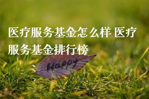 医疗服务基金怎么样 医疗服务基金排行榜