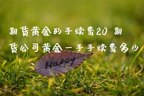 期货黄金的手续费20 期货公司黄金一手手续费多少
