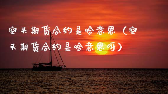 空头期货合约是啥意思（空头期货合约是啥意思呀）