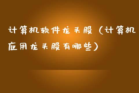 计算机软件龙头股（计算机应用龙头股有哪些）