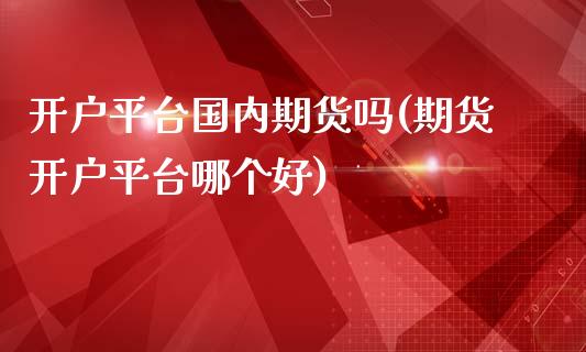 开户平台国内期货吗(期货开户平台哪个好)