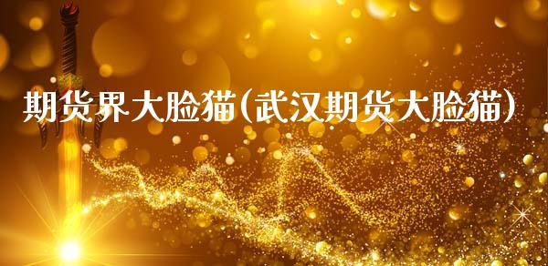 期货界大脸猫(武汉期货大脸猫)
