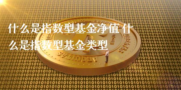 什么是指数型基金净值 什么是指数型基金类型_基金理财_第1张_宇龙理财网 什么是指数型基金净值 什么是指数型基金类型_https://www.dglong8.com_基金理财_第1张