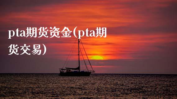 pta期货资金(pta期货交易)
