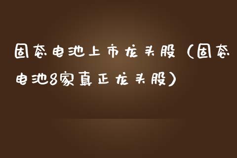 固态电池上市龙头股（固态电池8家真正龙头股）