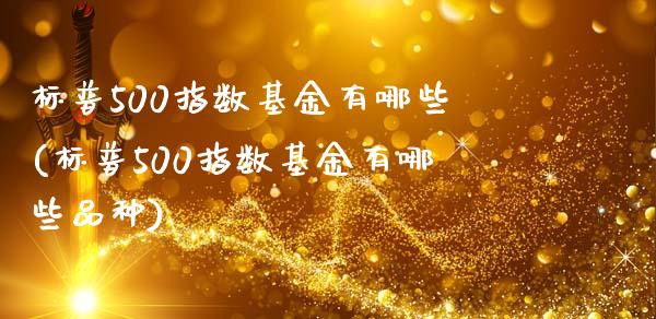 标普500指数基金有哪些(标普500指数基金有哪些品种)