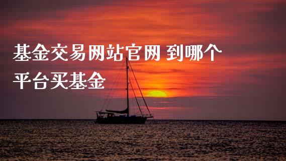 基金交易网站 到哪个平台买基金