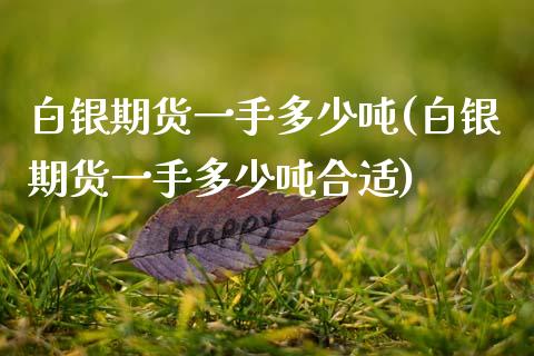 白银期货一手多少吨(白银期货一手多少吨合适)