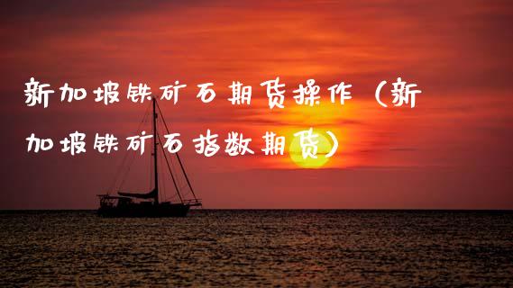 新加坡铁矿石期货操作（新加坡铁矿石指数期货）