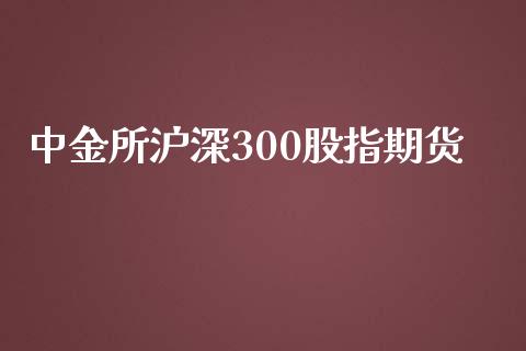 所沪深300股指期货