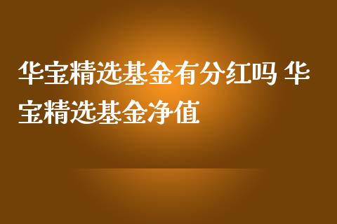 华宝精选基金有分红吗 华宝精选基金净值_https://www.dglong8.com_基金理财_第1张