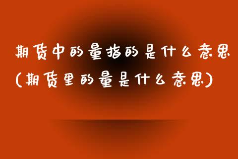 期货中的量指的是什么意思(期货里的量是什么意思)