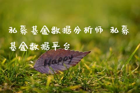 私募基金数据分析师 私募基金数据平台