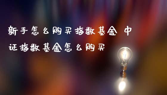 新手怎么购买指数基金 中证指数基金怎么购买