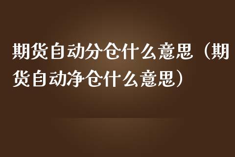 期货自动分仓什么意思（期货自动净仓什么意思）
