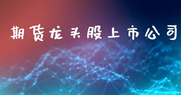期货龙头股上市公司