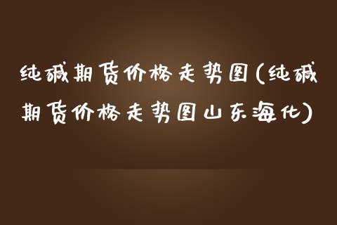 纯碱期货价格走势图(纯碱期货价格走势图山东海化)
