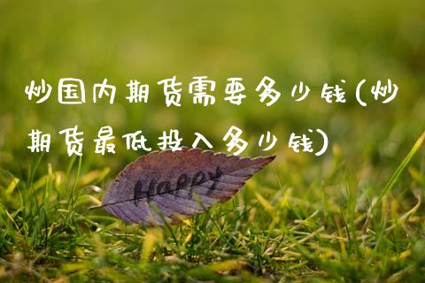 炒国内期货需要多少钱(炒期货最低投入多少钱)