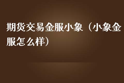 期货交易金服小象（小象金服怎么样）