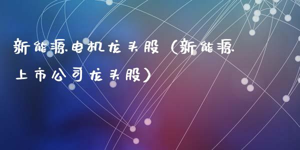 新能源电机龙头股（新能源上市公司龙头股）