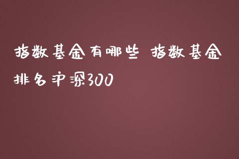 指数基金有哪些 指数基金排名沪深300