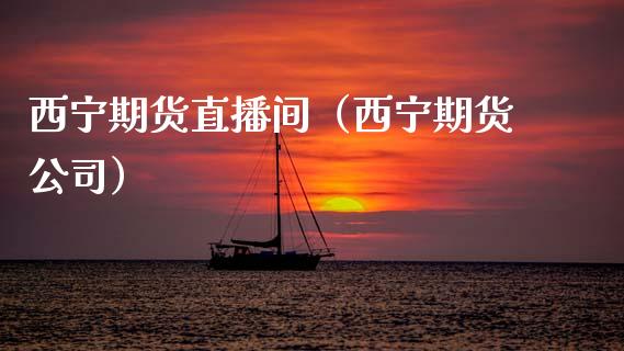 西宁期货直播间（西宁期货公司）