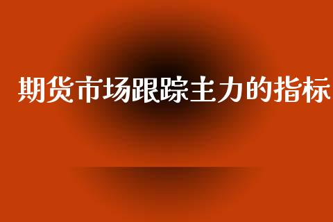 期货市场主力的指标